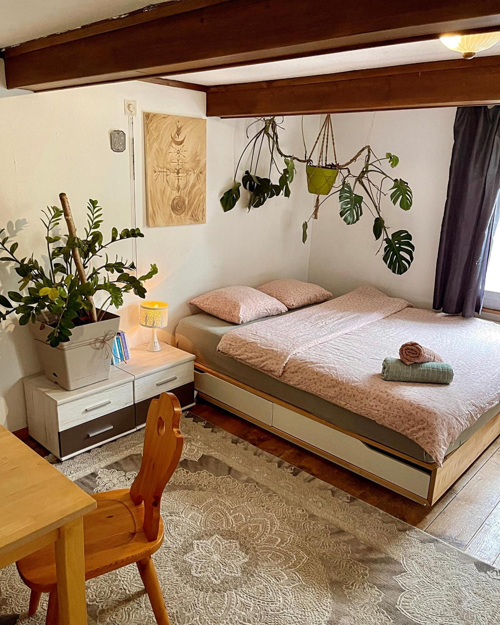 Cozy Room In An Old Farmhouse Near Vaduz Sevelen Zewnętrze zdjęcie